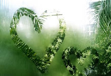 [图]联赛杯-多库努内斯破门 曼城2-1沃特福德晋级.